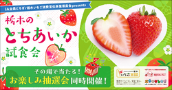 「旬のいちごを無料配布！コリラックマもやってくる「とちあいか」祭りがソラマチで開催」の写真