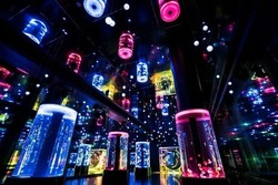 「【2026】全国のイルカショー＆シャチが人気の水族館15選！ずぶ濡れ必至の迫力ライブ」の写真