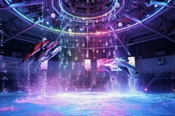 「【2026】全国のイルカショー＆シャチが人気の水族館15選！ずぶ濡れ必至の迫力ライブ」の写真