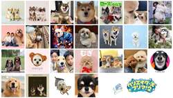 「入場無料！フリマ・犬・グルメの3大祭がお台場で開催　人気配信者に会えるチャンスも」の写真