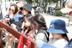 「アスレチックやグルメを親子で満喫！横浜・海の公園で入場無料のアウトドアイベント」の写真