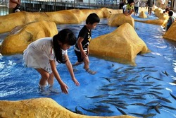 「【2026】全国のイルカショー＆シャチが人気の水族館15選！ずぶ濡れ必至の迫力ライブ」の写真