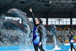 「【2026】全国のイルカショー＆シャチが人気の水族館15選！ずぶ濡れ必至の迫力ライブ」の写真