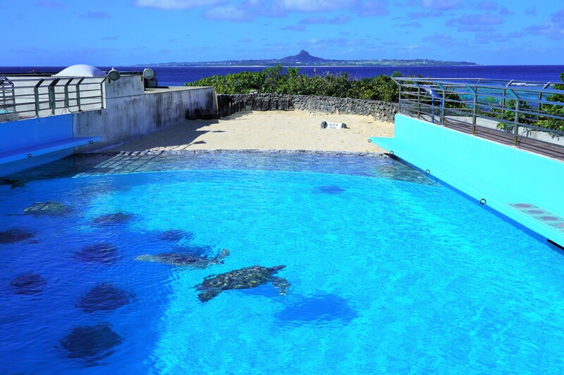 画像：crossroad / PIXTA