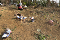 モグリューやディグダが、土の中からひょっこりと顔を出す場面も