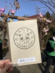 いつも一緒！　4匹のイーブイの居場所も発見できるかも