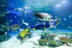 「【2026】行く前に知りたい！東京・人気水族館の食物アレルギー対応を一挙紹介」の写真