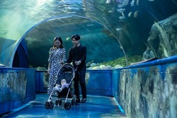 「【2026】行く前に知りたい！東京・人気水族館の食物アレルギー対応を一挙紹介」の写真