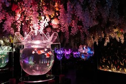 「【2026】行く前に知りたい！東京・人気水族館の食物アレルギー対応を一挙紹介」の写真