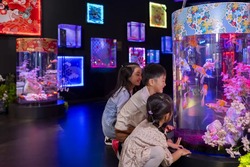 「【2026】行く前に知りたい！東京・人気水族館の食物アレルギー対応を一挙紹介」の写真