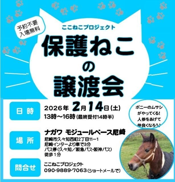 保護ねこ譲渡会 in 尼崎