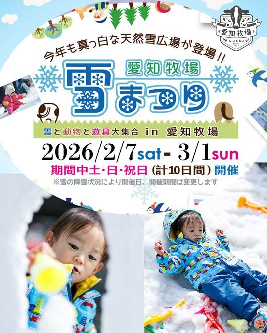 愛知牧場　雪まつり｜土・日・祝日の10日間開催。朝の雪質と午後では大違い。菜の花の春模様と雪遊びを同時に楽しめるのはここだけ
