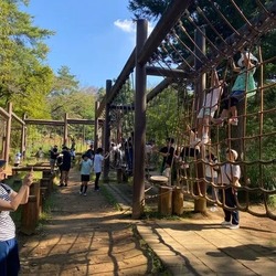 「【2026】関東の無料・格安アスレチック11選｜子供500円以下＆都内の人気大型施設も」の写真