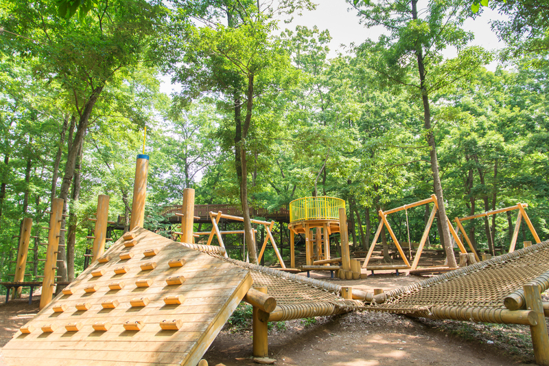 画像：Y.taka / PIXTA