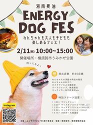 よこすかDOG FES｜よこすかDOG FES実行委員会