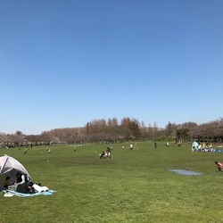 「【2026】関東の無料・格安アスレチック11選｜子供500円以下＆都内の人気大型施設も」の写真