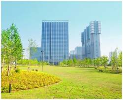 「全国17の名店が集結！品川で大人気「焼き芋フェス」開催　限定スイーツや老舗の味も」の写真