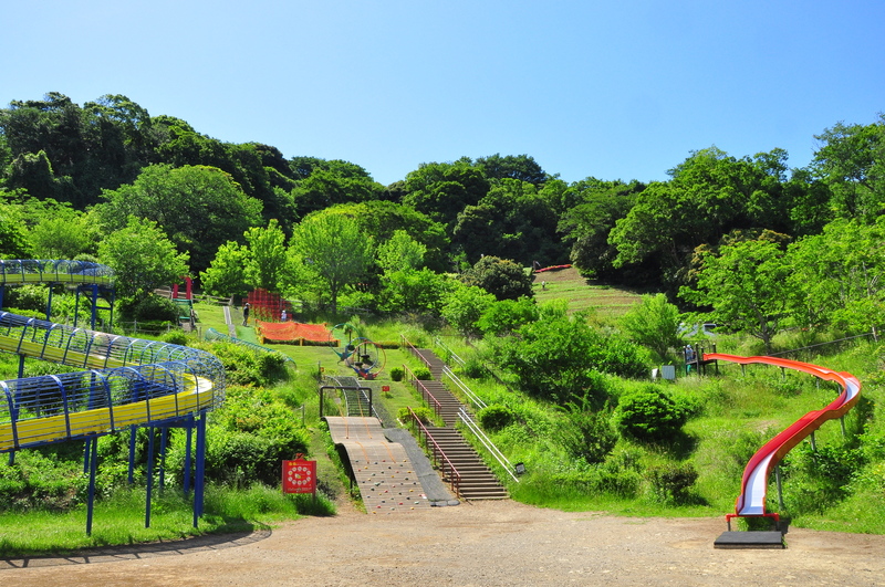 画像： jooko3 / PIXTA