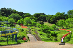 画像： jooko3 / PIXTA