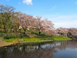 「【2026】横浜のアスレチック7選｜無料の公園から本格コースも！幼児～小学生が大満足」の写真