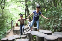 「【2026】関西の無料・格安アスレチック8選｜子供550円以下＆大阪の人気大型施設も」の写真