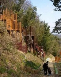 「【2026】関西の無料・格安アスレチック8選｜子供550円以下＆大阪の人気大型施設も」の写真