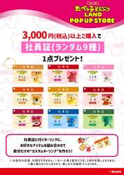 「「たべっ子どうぶつLAND」ポップアップストアが大阪門真に期間限定オープン！」の写真