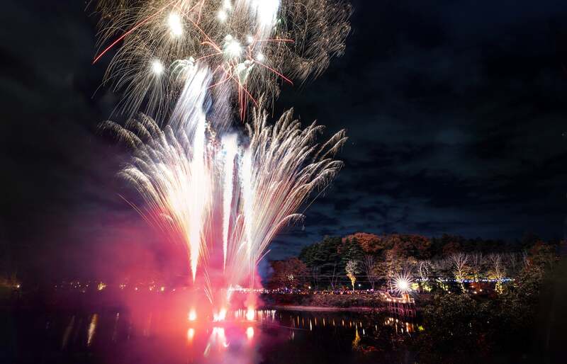 過去実施イメージ