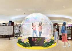 フォトスポットイメージ