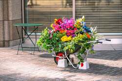 「Botanical Street」昨年の様子