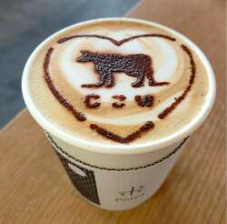 「京都でタイの伝統工芸を体験！親子で石けん彫刻＆型抜きあそび！赤箱のプレゼントも」の写真