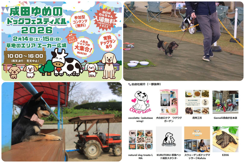 成田ゆめのドッグフェスティバル
