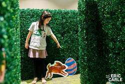 季節のかくれんぼ