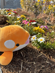 「神戸須磨シーワールドで無料の謎解き！隠しエリアや春限定フォトスポット、ぬい活も」の写真