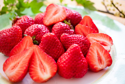 （画像提供：Sixcube / PIXTA）