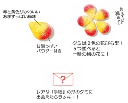 「【2026年2月新作グミ】スーパーカップがグミに!?猫の日向けやあまおう苺など注目7選」の写真