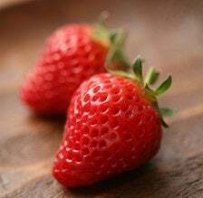 「越後姫」のイメージ