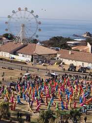 「【横須賀】300体の恐竜が激走！ティラノレース開催＆没入型「恐竜島」も新オープン」の写真