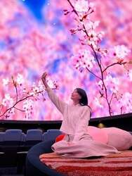 「【撮影OK】満開の桜に包まれる幻想体験！プラネタリウムで究極の「室内お花見」を」の写真