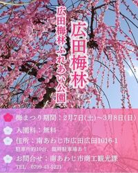 広田梅林・広田梅林ふれあい公園 梅まつり