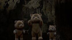 くまの親子 ｜ 志村茉那美 Exhibition