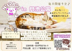 N'sマルシェ in 門池公園