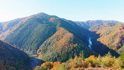 「【2026年】関西のトランポリンパークおすすめ11選！大阪・兵庫・京都の大型施設を厳選」の写真