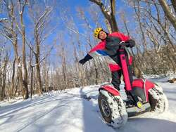 「アルパカと間近でふれあえる！那須高原のホテルで冬の体験イベント開催　電動バイクも」の写真