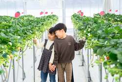 「赤ちゃん連れに最適！京都・宮津のホテルが認定宿に　いちご狩りや遊び場、特典も充実」の写真