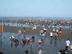 「2026【関東】潮干狩り場おすすめ9選｜無料・格安＆開催時期！船橋や木更津の最新情報」の写真