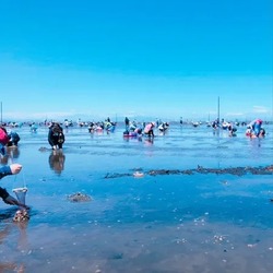 「2026【関東】潮干狩り場おすすめ9選｜無料・格安＆開催時期！船橋や木更津の最新情報」の写真