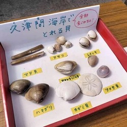 「2026【関東】潮干狩り場おすすめ9選｜無料・格安＆開催時期！船橋や木更津の最新情報」の写真