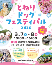 「愛犬の整体＆マッサージ体験も！限定おやつやカート試乗が楽しめるドッグフェス初開催」の写真