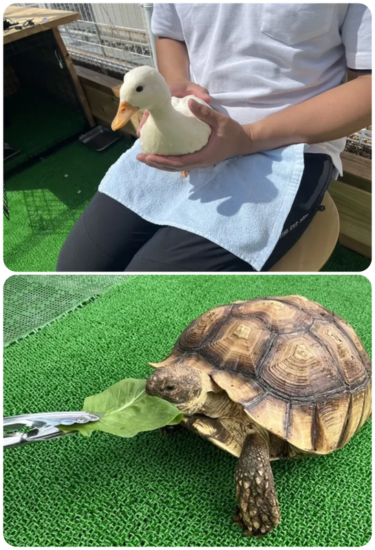 ふれあいパーク★水と大地のびっくりアニマル